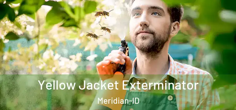  Yellow Jacket Exterminator Meridian-ID