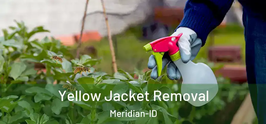  Yellow Jacket Removal Meridian-ID